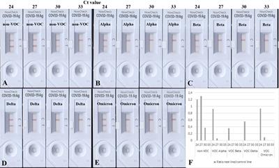 Mutations in SARS-CoV-2 nucleocapsid in variants of concern impair the sensitivity of SARS-CoV-2 detection by rapid antigen tests